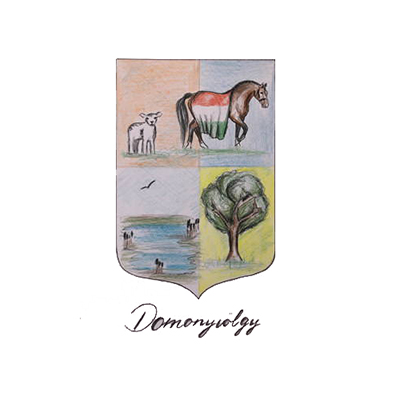 Domonyvölgy - Nemzeti Vágta