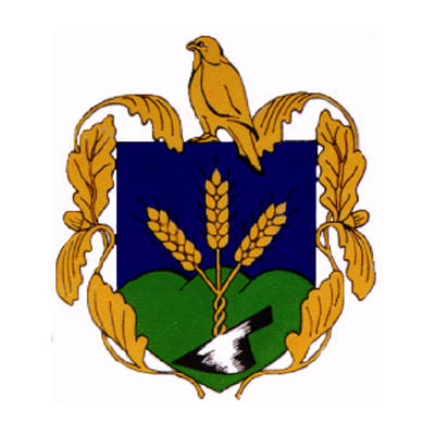 Piliscsaba - Nemzeti Vágta