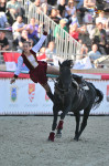 Győri Ördöglovasok bemutatója [2026.10.04.]
